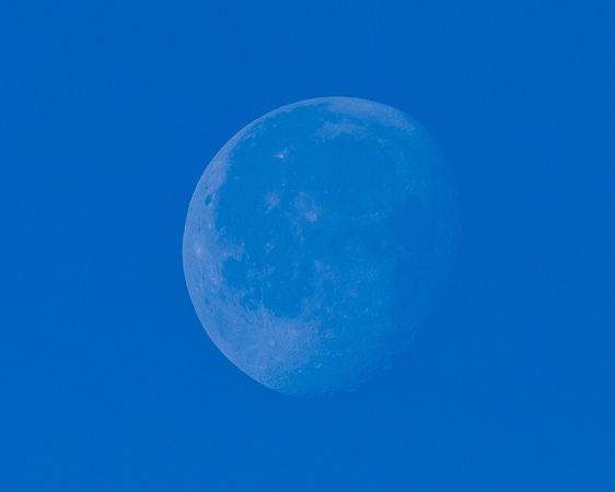 PSC_20230409_6644